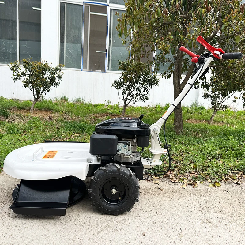 Cortadora de Césped Manual de 6.5 HP – Cortadora de Pasto Multifuncional para Hogar y Granja