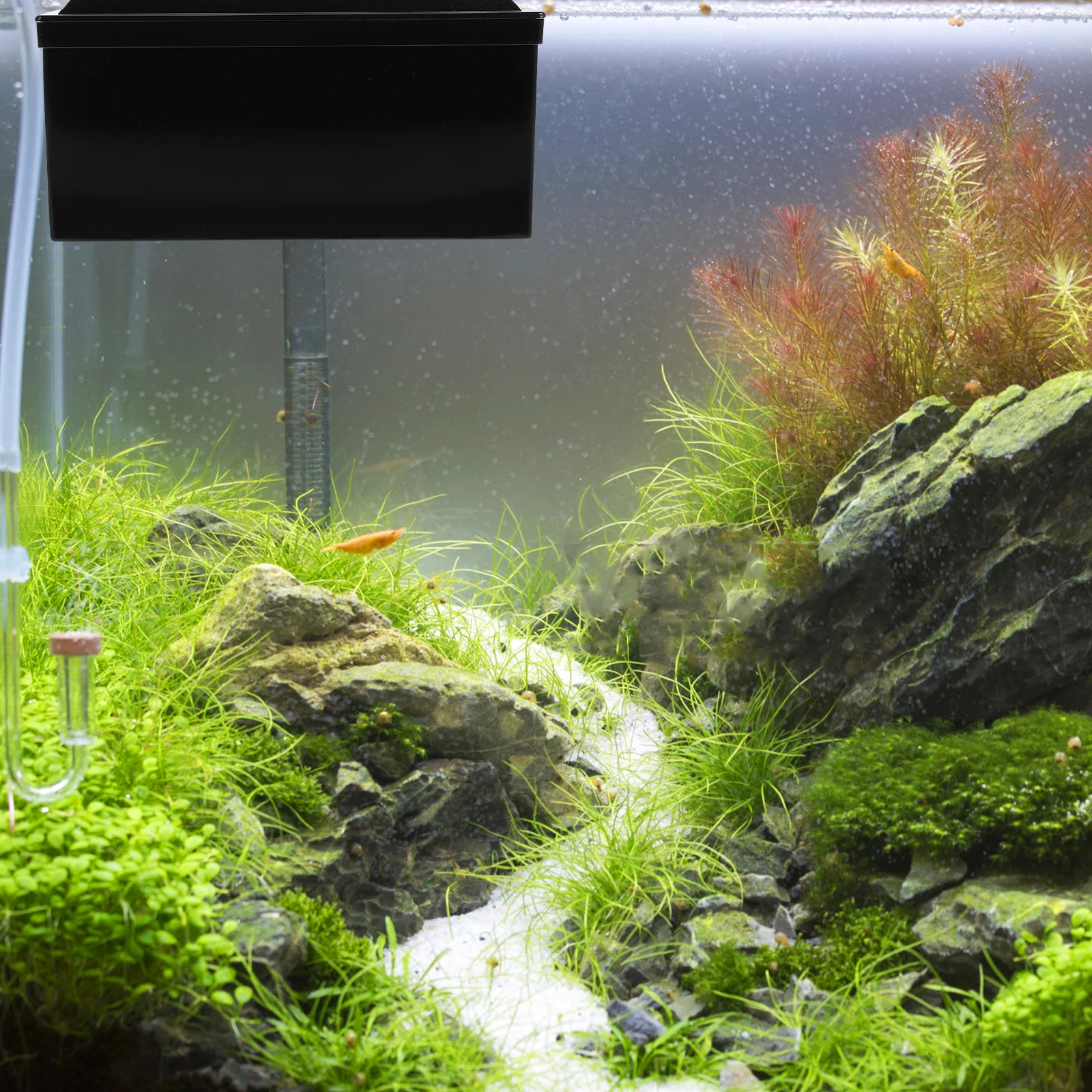

Fish Tank Filter Box Aquarium Reusable Black Compact Wear Resistant Plastic Household Easy Maintenance Small Tank