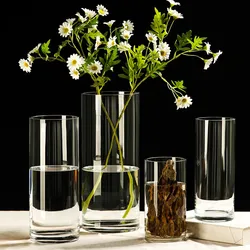 Cylinder Flower Vase Transparent Glass Vase Hydroponic Plant Vase Nordic Flower Vase Home Living Room Table Decoration Gift