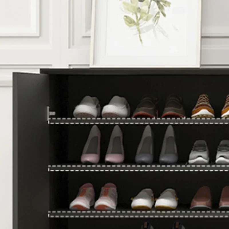 

Шкаф для гостиной, сапожники, полка для обуви, органайзер, шкаф для обуви, коврики для обуви, мебель для дома, полка для обуви, шкафы, большая сумка