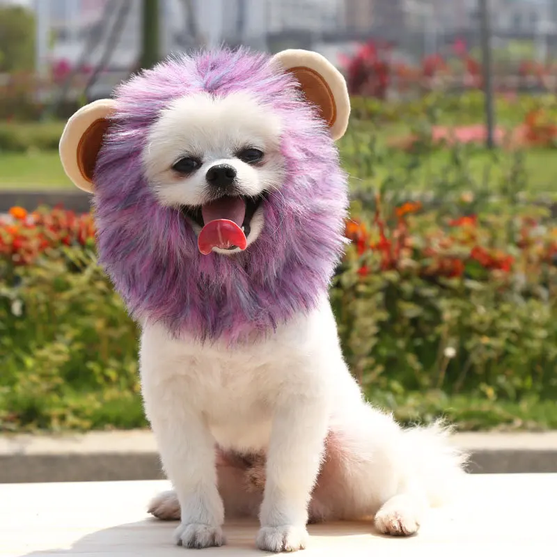 Lion Mane for Cat Small Dog,Halloween Cat Costume Lion Mane,