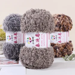 100g Teddy Roll Wool Loop Yarn, DIY Scarf Hat Glove Doll Crochet Thread, Featured Jewelry Knitted Yarn, Handmade Knitted Gifts