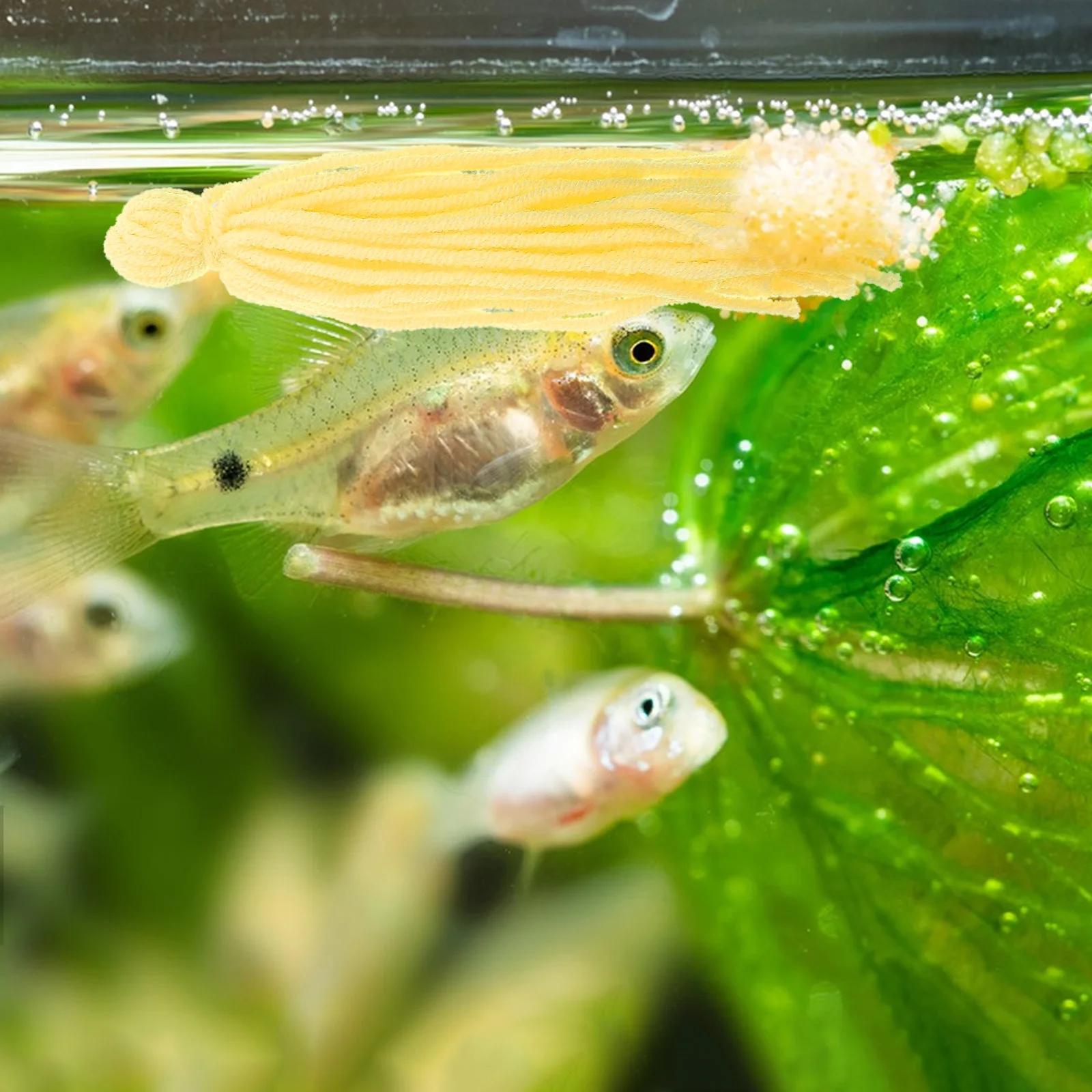 

10pcs Breeding Mop Fish Tank Spawning Shrimp Habitat Reproduction Grass Aquarium Supplies Spawn Egg Attachment