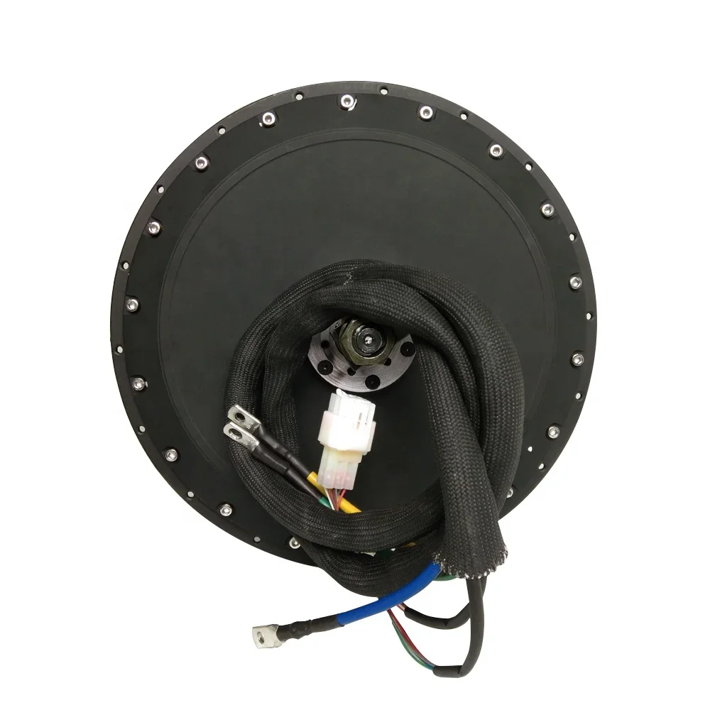 QS273 8000W Hub Motor for Ebike