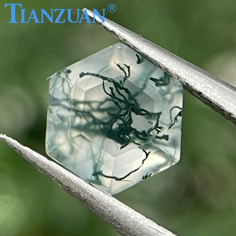 

8x8mm Hexagon Shape Natural Agate Seaweed Green Agate Stones Agate Beads Loose Gem Stone for Jewelry Making