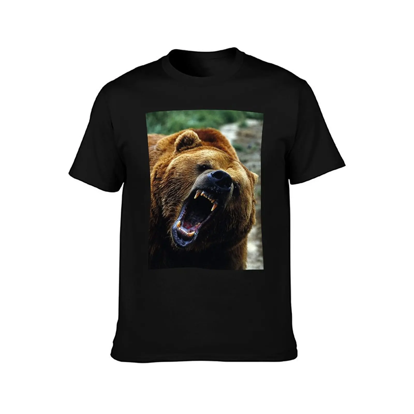 Grizzly Bear ★ T-Shirt Holiday Lightweight T-Shirt