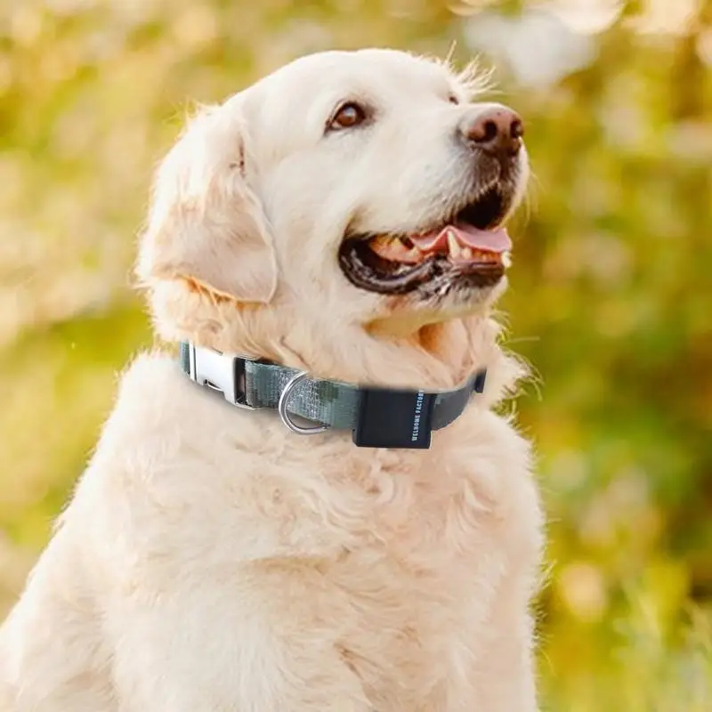 Collar de entrenamiento para perros, Collar para cachorros, Collar de nailon grueso para perros, collares ajustables cómodos para mascotas medianas y grandes