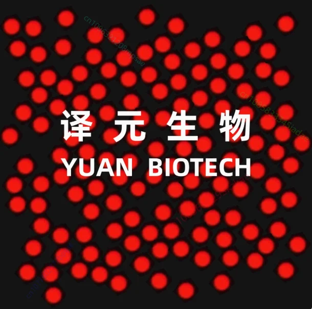 

Полистирольные флуоресцентные микрофоры Красные зеленые флуоресцентные микрофоры Биологический реагент