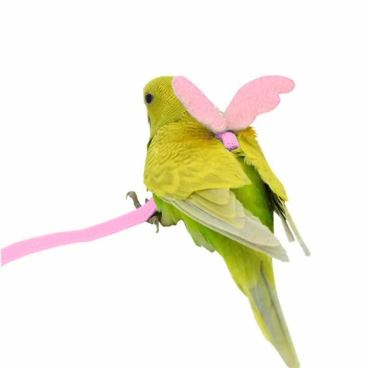 

1 Unit Parrot Harness with Angel Wings Pink Bird Flying Rope Elastic Latex Material Pet Pulling Rope for Safe Outdoor Training