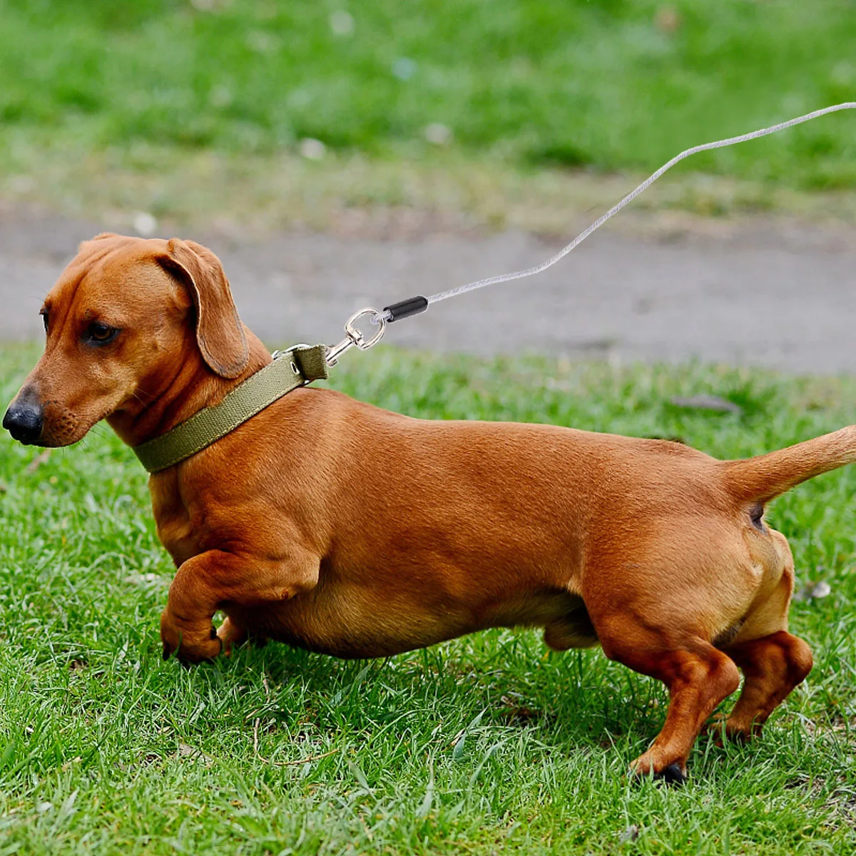 

1pc Dog Training Leash Double-Headed 5M Steel Wire Anti-Bite Pet Pulling Rope Durable Outdoor Leash For Large Dogs Thick