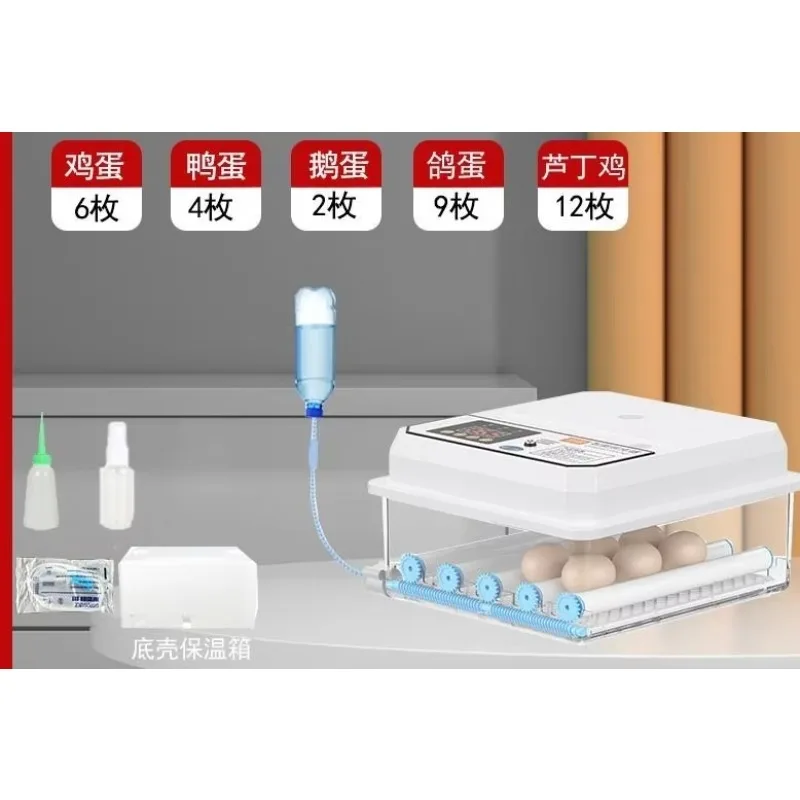 Supply Inqubator Chicken Egg Incubator 36 Eggs Hatching Machine Farm CE Engine Accessories for Eggs Incubator