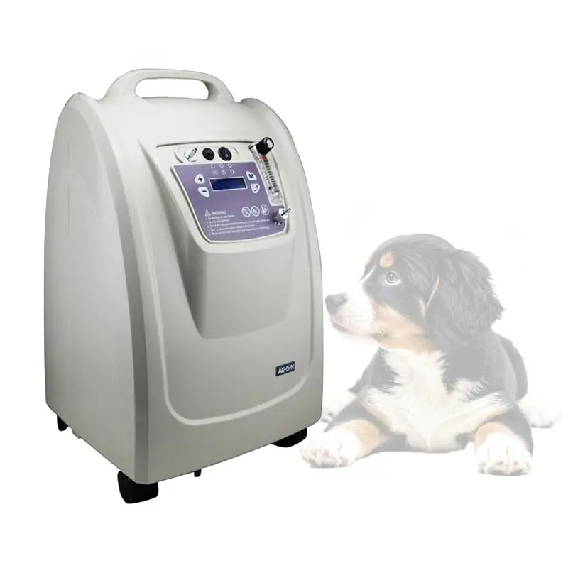 

Animal Oxygen Supply 5L Veterinary Oxygen Concentrator Veterinary Instrument