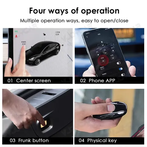 6 best sales Tesla Model 3 Frank - №1