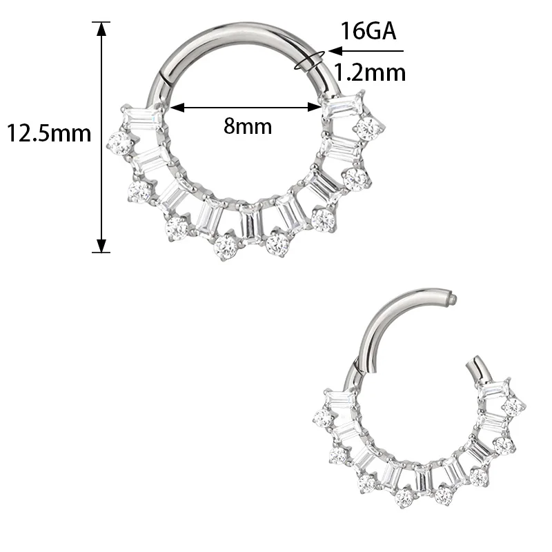 ASTM F-136 Titanium EAR Nose Ring PIERC CZ Surround Segment Ring  Hoop Face Hinged Clicker Labret Ear wheel Cartilage Piercing