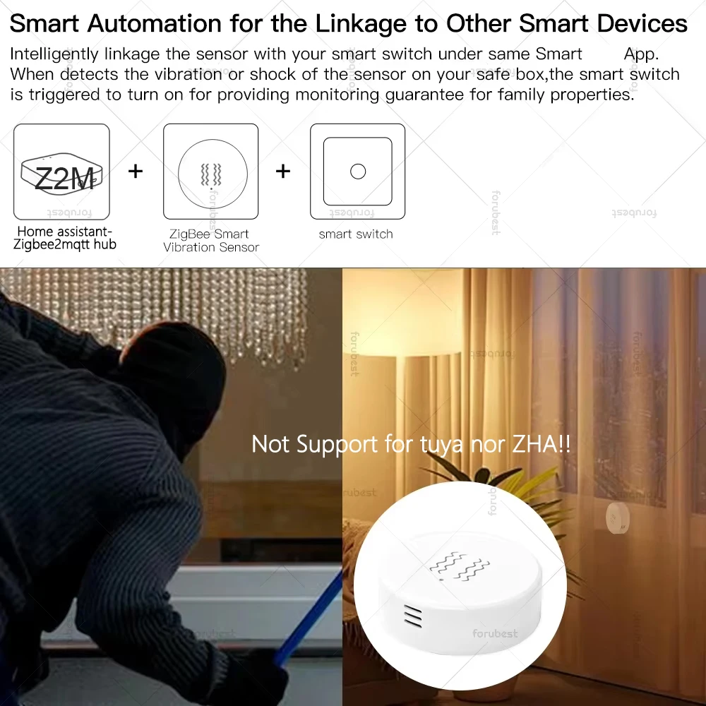 Sensor de vibración inteligente ZigBee, monitoreo en tiempo Real, protección de seguridad, Detector de alarma de choque, funciona con el asistente doméstico Zigbee2mqtt