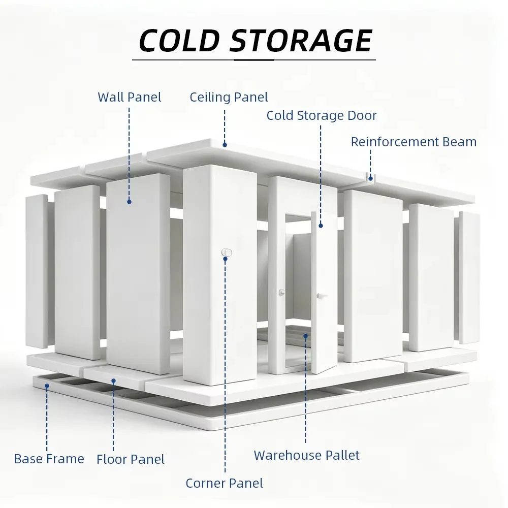 Small Cold Room Walk in Industrial Refrigeration Equipment Copeland Unit for Omasum Beef Tripe Meat Seafood
