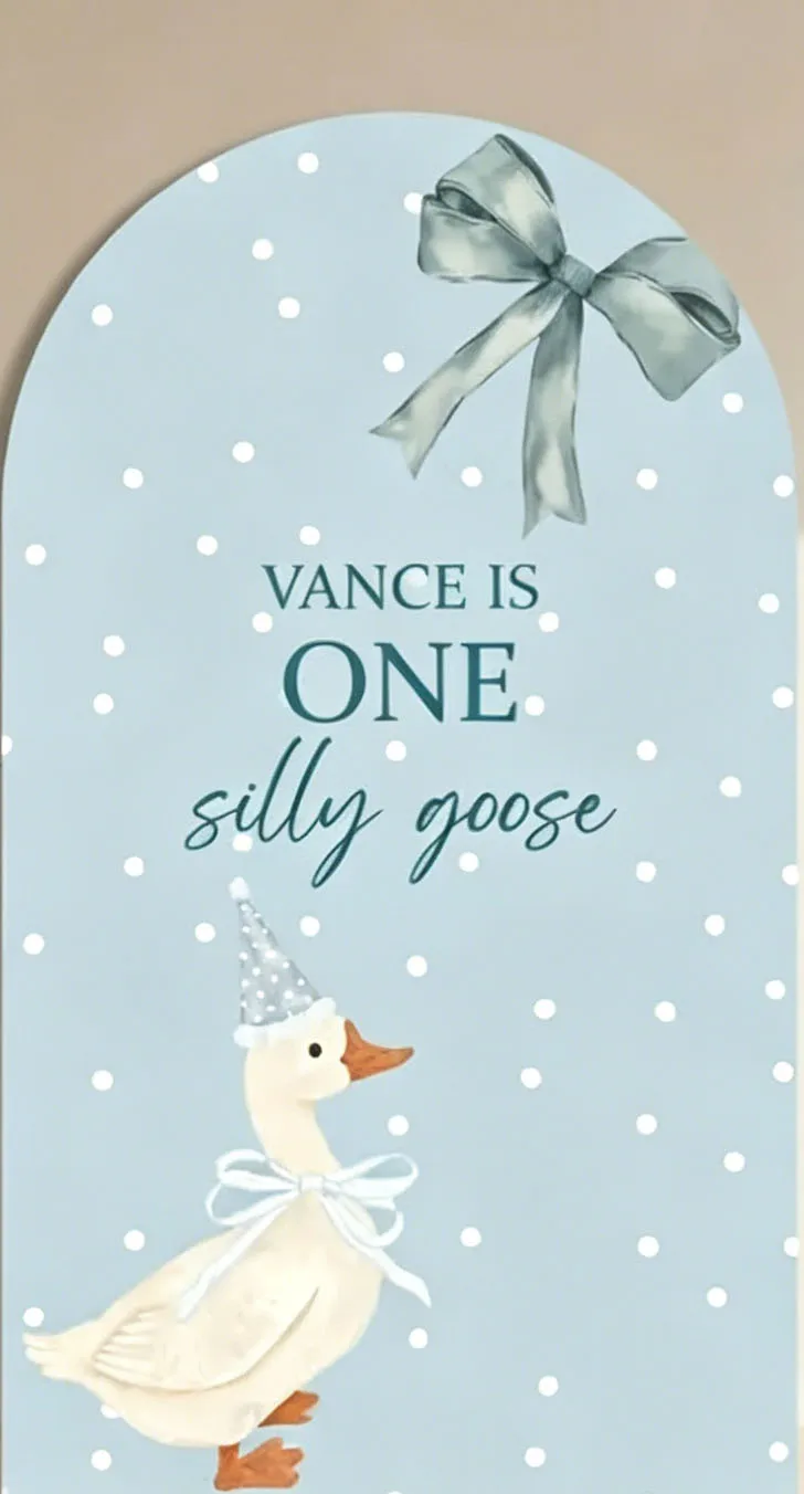 Custom 2-Sided One Silly Goose Baby Shower Arch Backdrop Cover Blue bow polka dots Custom Name Birthday Decor Backdrop Photo