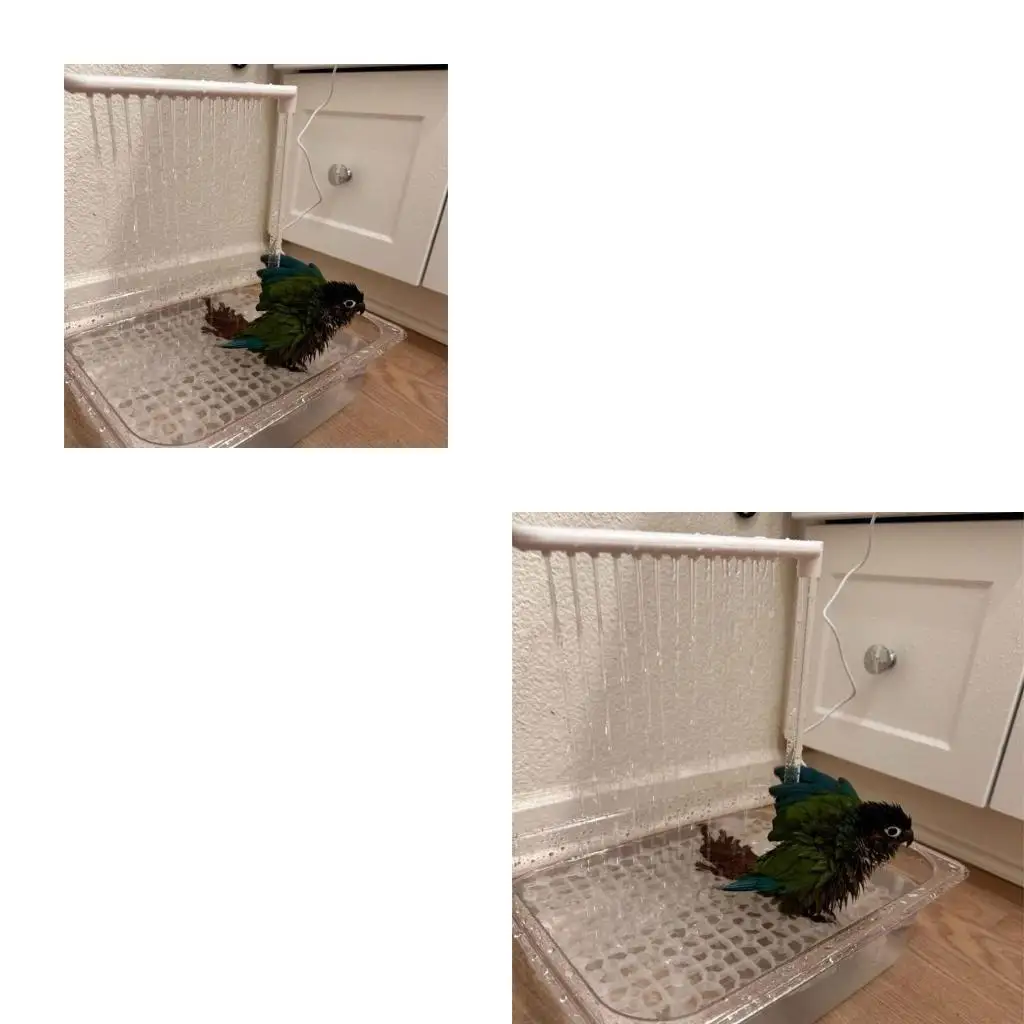 

Попугаки ванна автоматическая ванна с низким уровнем шума накачки для Budgies Cockatiels Loveybirds Автоматическая накачка для