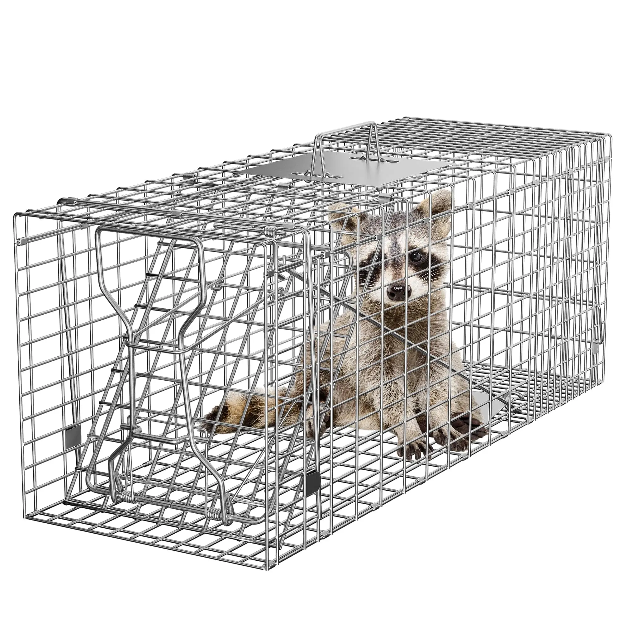 Live Trap Original Series Rigid Live Trap with one Trap Door and Easy Release Door for Cat, Rabbit, Skunk Sized Animals