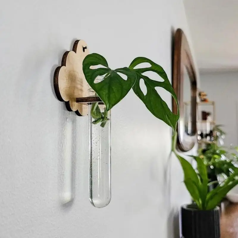 Wall Mounted Wooden Plant Holder with Test Tube for Monstera Hydroponics Home Decoration