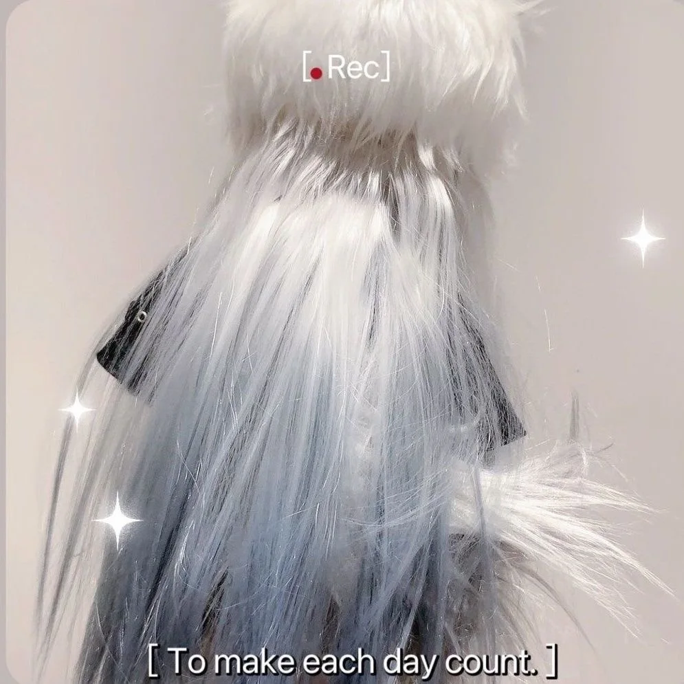 27 سنتيمتر لعبة لطيف الفرسان لابلاند تأثيري لينة الجسم دمية الكرتون تغيير الملابس وسادة هدية عيد الميلاد