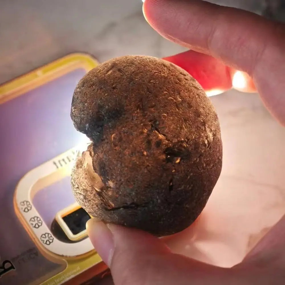 Black Tektite Raw Meteorite Crystal Divine Fire Pearl Impact Debris Rare Astronomy Collector's Gift Geology Enthusiasts