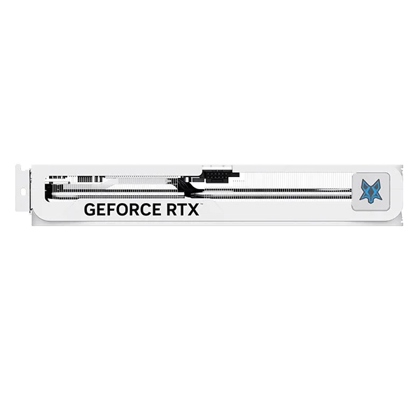 [مانلي] Geforce Rtx 5070 Polar Fox Oc D7 12Gb Intek & Company