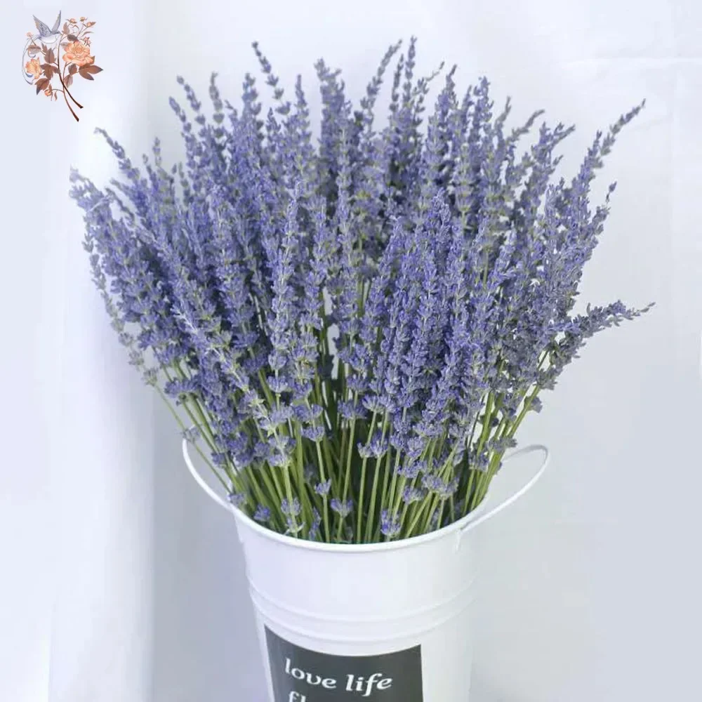 100g Natural Lavender Bouquet Wedding Party Decoration Preserved Dried Lavender Flower Bunches DIY Valentine\'s Gift Home Decor