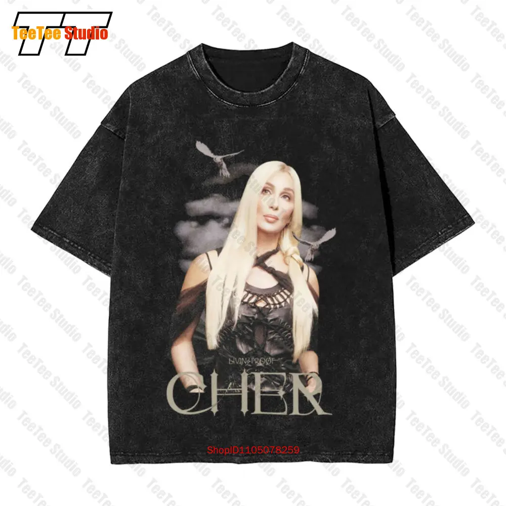

Винтажная футболка большого размера Cher Living Proof Farewell Tour Bird Bath со светлыми волосами 2003, OSKL
