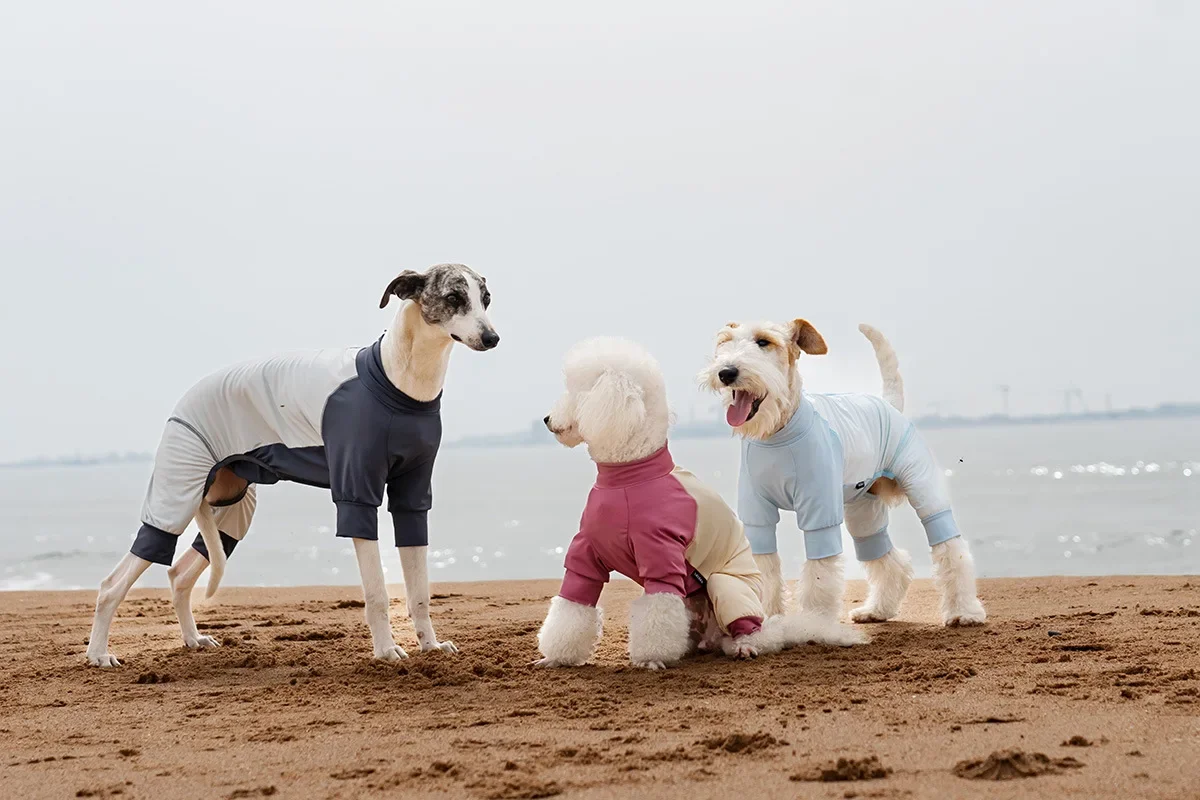 

Dog Cool Sunscreen Four Cornered Clothing Outdoor Protective Clothing for Small and Medium Sized Dogs Unisex