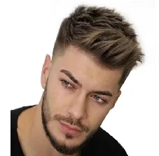 WHIMSICAL W Men Short Hair Synthetic Wigs for Daily Use Fashion Wig Ombre Male Natural Hair Heat Resistant Breathable