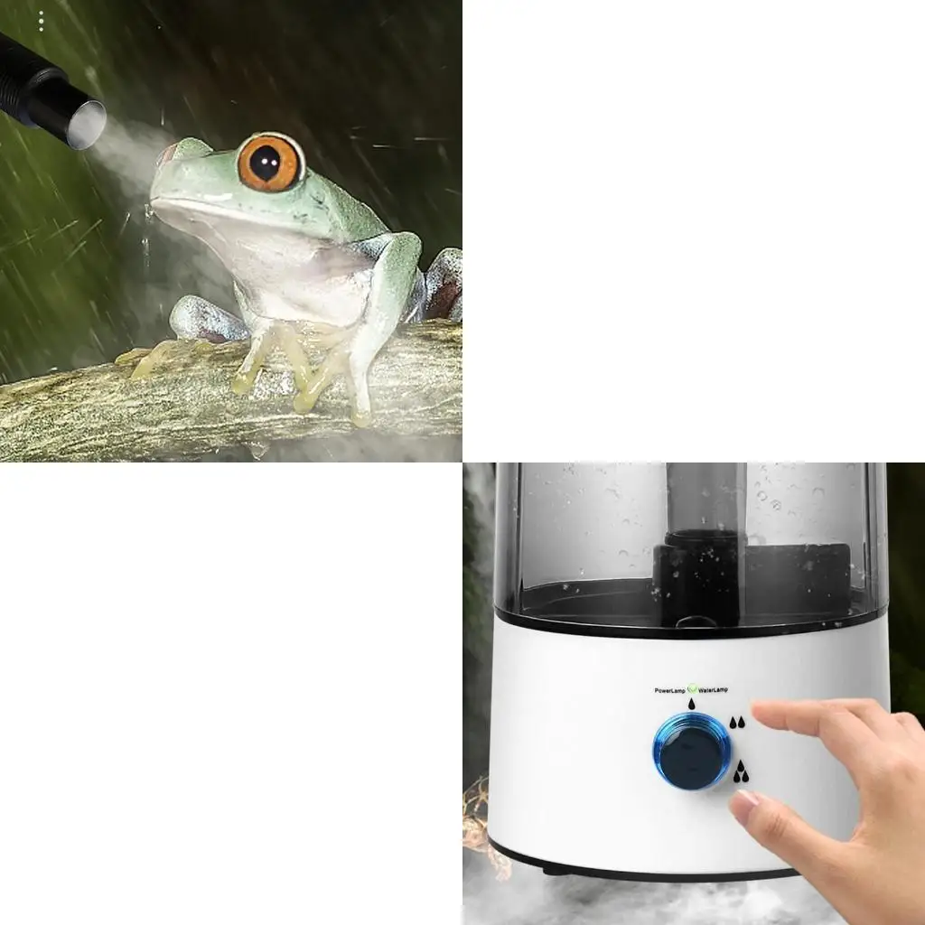 4L Humidifier Automatic Terrarium Humidifier Fogger for Tortoise Snake Habitat