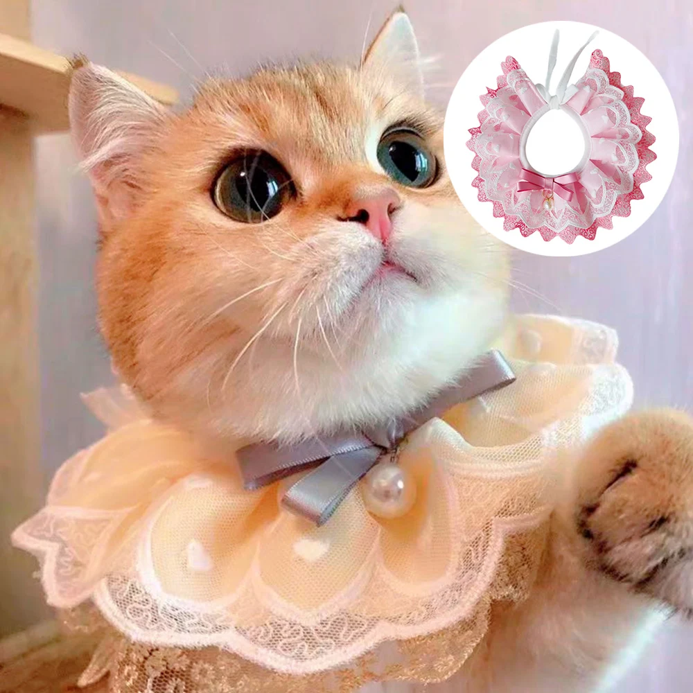 ΠΡΠ΅ΠΉΠ½ΠΈΠΊ Π² ΡΡΠΈΠ»Π΅ Ins Π΄Π»Ρ ΠΊΠΎΡΠ΅ΠΊ, ΡΠΎΠ±Π°ΠΊ, ΡΠ΅Π½ΠΊΠΎΠ², ΠΠΎΠ»ΠΈΡΠ°, ΡΠ΅ΠΉΠ½ΡΠΉ ΠΏΠ»Π°ΡΠΎΠΊ Π΄Π»Ρ Π΄ΠΎΠΌΠ°ΡΠ½ΠΈΡ
ΠΏΠΈΡΠΎΠΌΡΠ΅Π², ΠΊΠΎΡΡΡ, ΠΊΡΡΠΆΠ΅Π²Π½ΠΎΠ΅ Π°Π΄ΠΈΡΡΡΠ°Π±ΠΈΠ»ΡΠ½ΠΎΠ΅ Π¦Π²Π΅ΡΠΎΡΠ½ΠΎΠ΅ ΠΠΆΠ΅ΡΠ΅Π»ΡΠ΅ Π΄Π»Ρ ΠΊΠΎΡΠ΅ΠΊ, ΡΠ°ΡΡ Ρ ΡΠ΅ΠΌΠ΅ΡΠΊΠΎΠΌ Π΄Π»Ρ ΡΠΎΡΠΎΠ³ΡΠ°ΡΠΈΠΈ ΠΡΠ΅ΠΉΠ½ΠΈΠΊ Π² ΡΡΠΈΠ»Π΅ Ins Π΄Π»Ρ ΠΊΠΎΡΠ΅ΠΊ, ΡΠΎΠ±Π°ΠΊ, ΡΠ΅Π½ΠΊΠΎΠ², ΠΠΎΠ»ΠΈΡΠ°, ΡΠ΅ΠΉΠ½ΡΠΉ ΠΏΠ»Π°ΡΠΎΠΊ Π΄Π»Ρ Π΄ΠΎΠΌΠ°ΡΠ½ΠΈΡ
ΠΏΠΈΡΠΎΠΌΡΠ΅Π², ΠΊΠΎΡΡΡ, ΠΊΡΡΠΆΠ΅Π²Π½ΠΎΠ΅ Π°Π΄ΠΈΡΡΡΠ°Π±ΠΈΠ»ΡΠ½ΠΎΠ΅ Π¦Π²Π΅ΡΠΎΡΠ½ΠΎΠ΅ ΠΠΆΠ΅ΡΠ΅Π»ΡΠ΅ Π΄Π»Ρ ΠΊΠΎΡΠ΅ΠΊ, ΡΠ°ΡΡ Ρ ΡΠ΅ΠΌΠ΅ΡΠΊΠΎΠΌ Π΄Π»Ρ ΡΠΎΡΠΎΠ³ΡΠ°ΡΠΈΠΈ