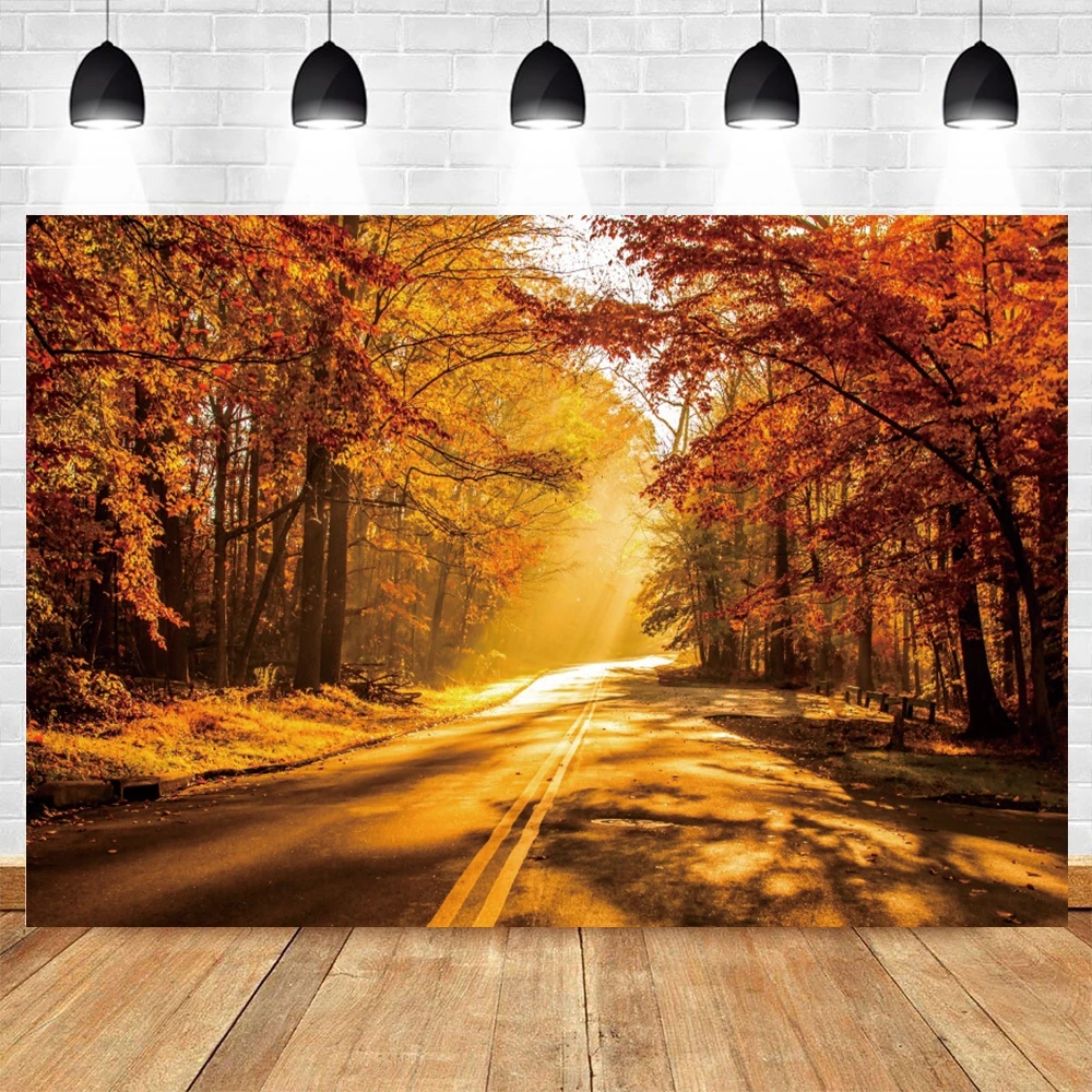 여성용 날 사진 배경, 어머니의 날 3 월 8 일 꽃 풍선 배경, 생일 파티 장식 사진 스튜디오 소품