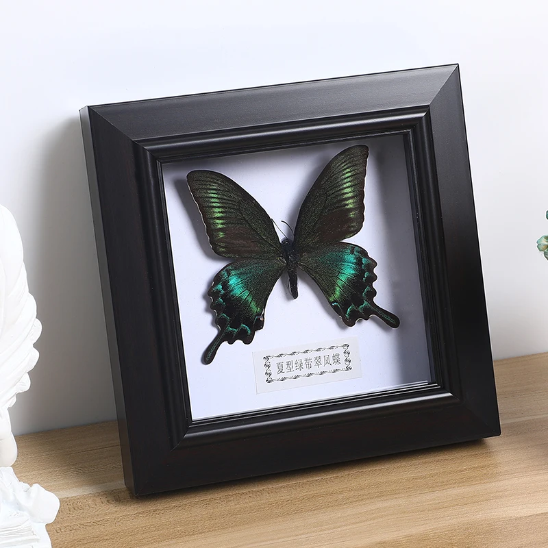 Butterfly Specimens Display Frame Home Decoration Display Collectibles Boxed Photo Frame Home Office Specimen Pendant NEW