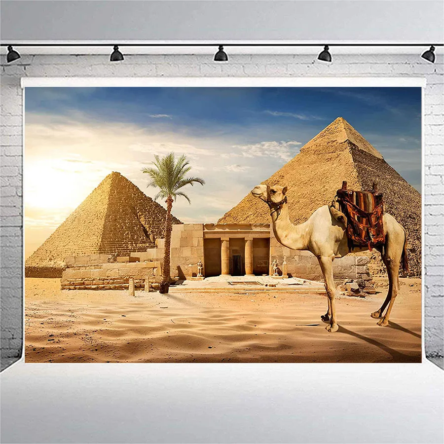 7x5ft Pyramid Backdrop Ancient Civilization Country Egypt Pyramid Camel Photography Backdrop Photo Photography Background Props