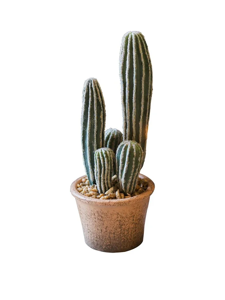 

Simulation Cactus Bonsai Fairy Column on The Ground False Plant Measure Day Foot Green Plant Decoration in Northern Europe
