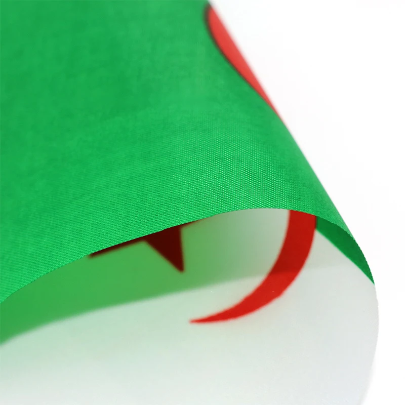 aerlxemrbrae  50 pieces 14 * 21cm Algerian hand-held plastic stick flag Outdoor celebration event Algeria small flag