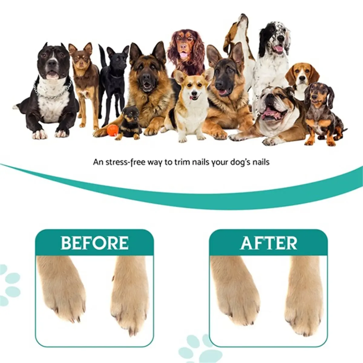 Industrial Tools Dog Claws Scratching Board Scratching Board for Dogs with Treat Box Square Stress-Free Dog Nail Scratch Board