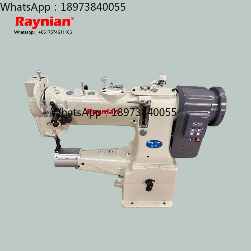 2025 Raynian-8B Sin…