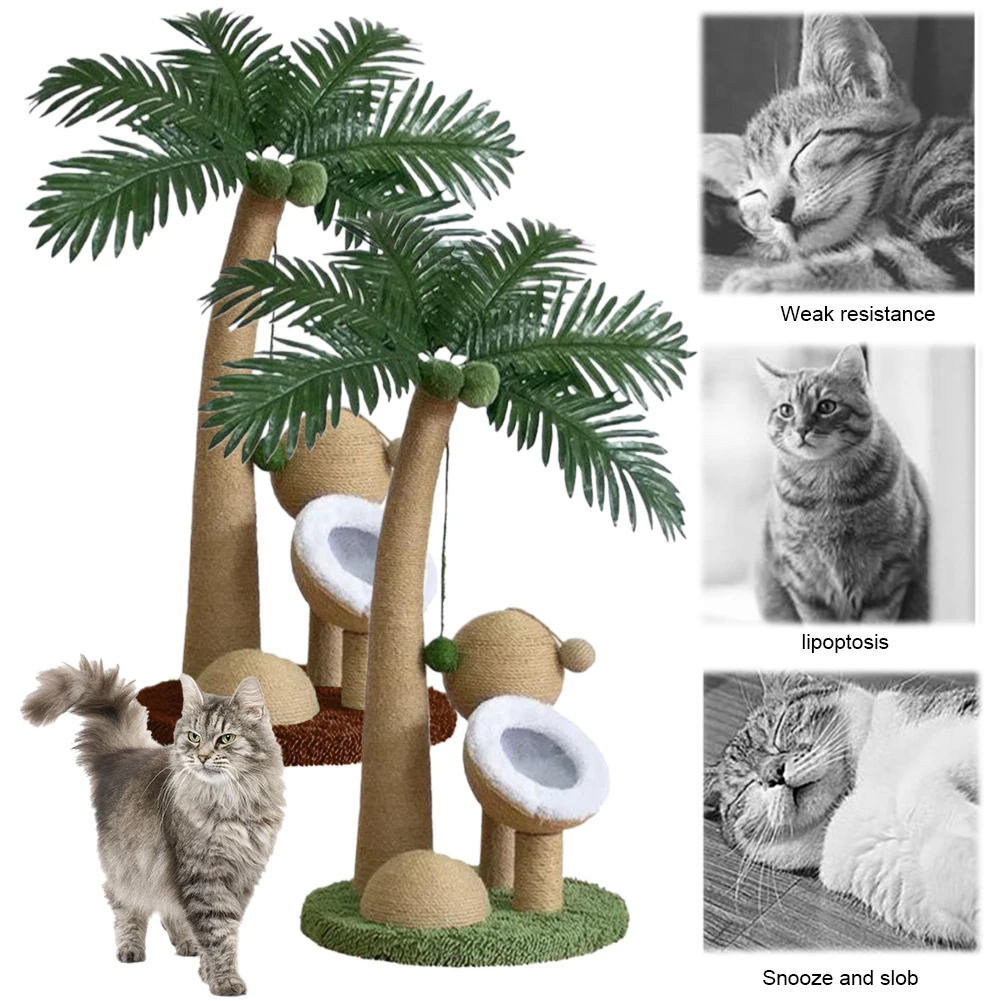 

Интерактивная когтеточка-кокосовая пальма с натуральным сизалевым канатом для кошек мелких и средних пород