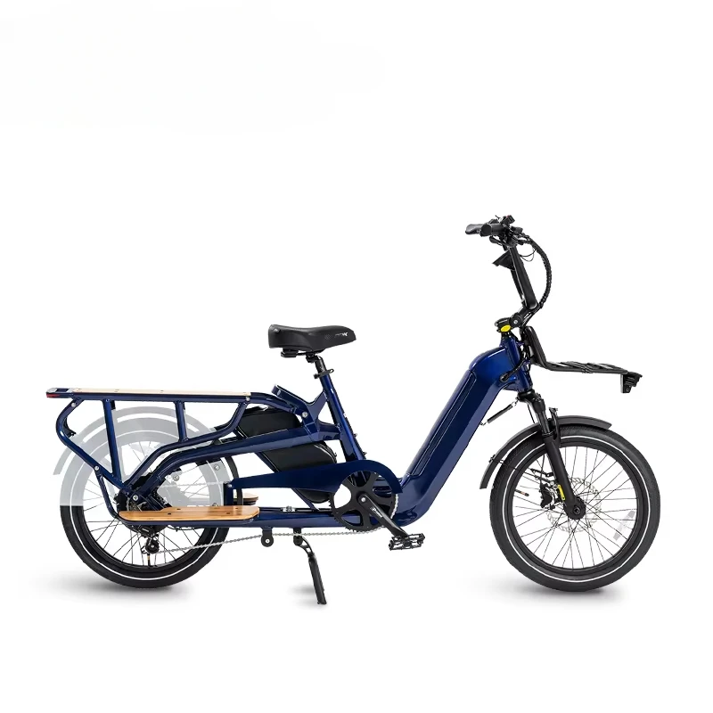 750W Long Range 20 Inch Fat Tire Electric Cargo Bike for Family Delivery Electric Bicyclecustom