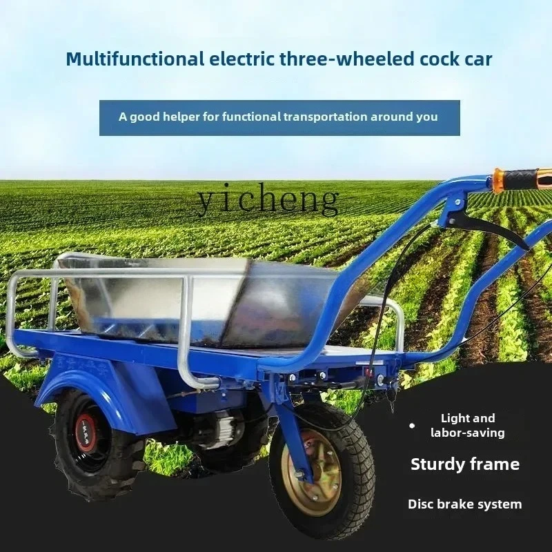 JX-1 Agricultural Chicken Bus Electric Tricycle Household Trolley Orchard Truck
