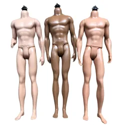 Male Doll Body Heads Ken Prince Doll Parts White Black Brown Beige Skin Male Doll Accessories Kids Collection Doll Figures Toy