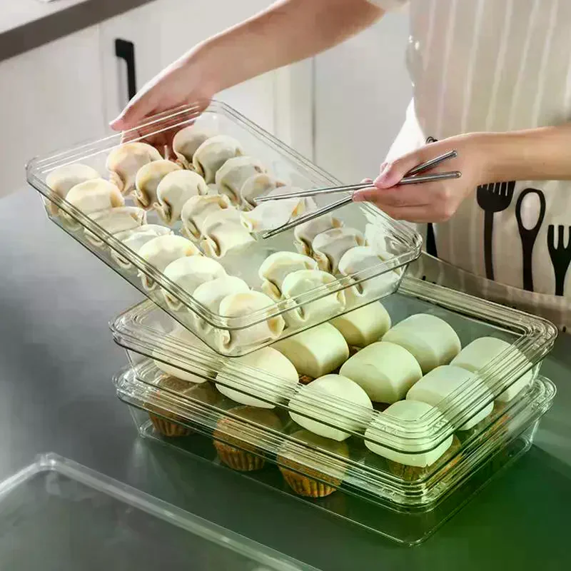 Dumpling Storage Box Single-Layer Transparent Refrigerator Dumpling Fresh Keeping Container Home Kitchen Food Sealed Storage Box