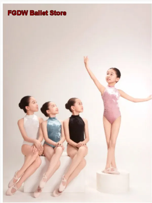 Women's Adult Ballet Leotard Stand Collar Velvet Halter Neck Mesh Panel Sleeveless Practice Leotard Body Suit Basic Training Leo