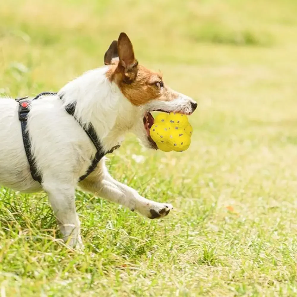 Pelota calmante reutilizable creativa para perros, juguete ligero para masticar, soporte emocional interactivo, antiestrés para mascotas