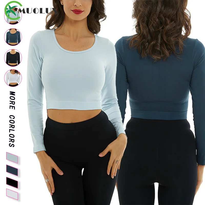 

2024 Women Sports Shirt Long Sleeve Female Seamless Yoga Shirts Crop Tops Thumb Hole Fitness Gym Workout Tops Sportswear Femme