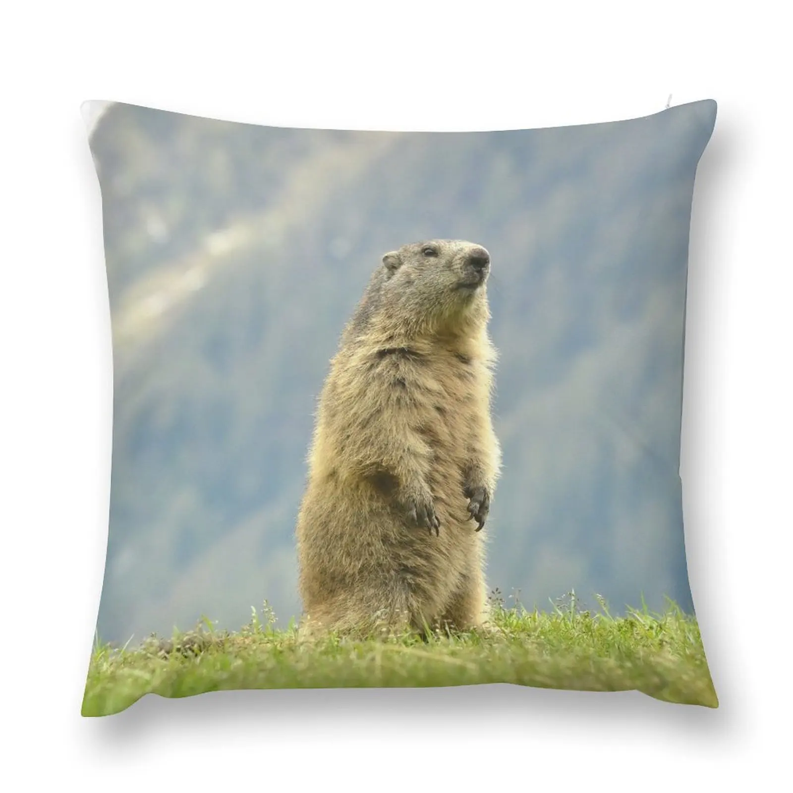 

Marmot Throw Pillow Sofa Pillow Cover Decorative Cushion Cover ornamental pillows Sofa Cushion pillow