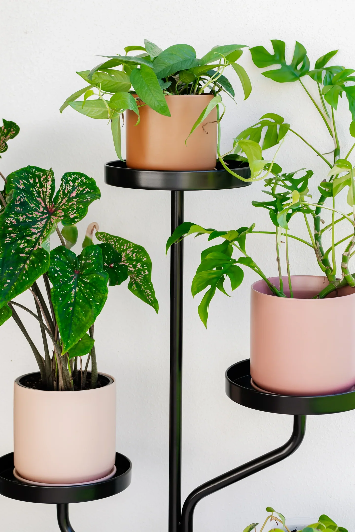 5 Tier Plant Stand Indoor Outdoor, Black Metal Corner Shelf for Multiple Plants,  Flower Holder Rack for Balcony Patio Garden